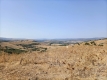 21-2c707e7c511429b4f8ec4ee5f221ddb6.jpg
